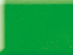 Pâte Fimo Soft Vert Tropique 53