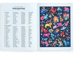 Puzzle Stargazing - 500 pièces - Galison