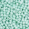 Rocailles mat cyan clair - Eco pack 50g