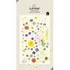 Stickers fleurs printanières réalistes